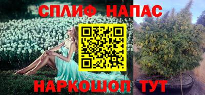 мдпв Гатчина