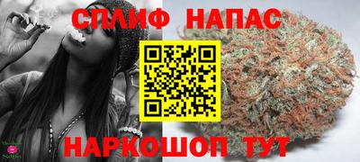 мдпв Гатчина