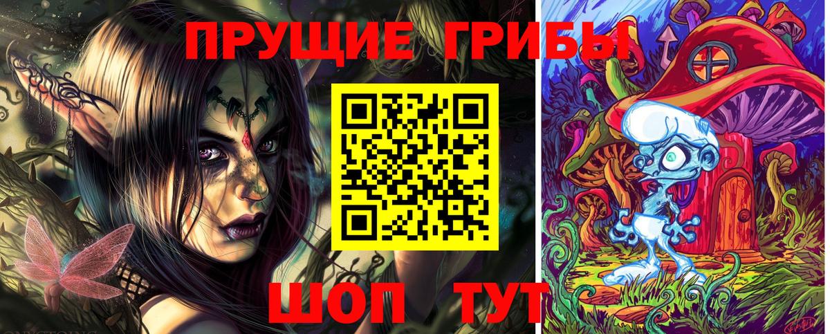 Псилоцибиновые грибы Cubensis  Вход с VPN  Пугачёв  Псилоцибиновые грибы GOLDEN TEACHER 